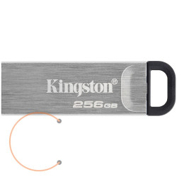 KINGSTON Memory Flash DTKN/256GB
