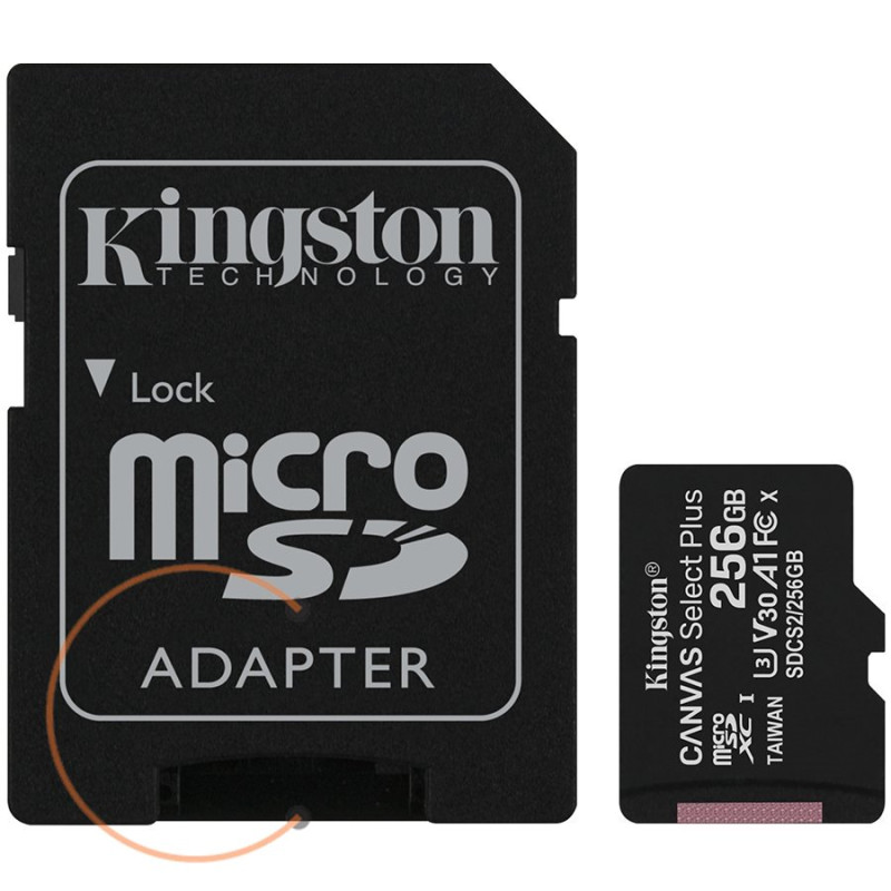 KINGSTON Memory Flash SDCS2/256GB