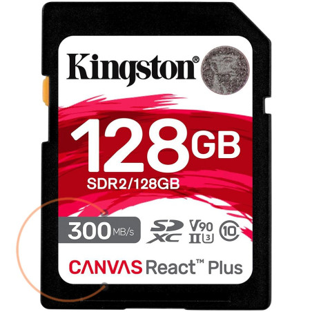 KINGSTON Memory Flash SDR2/128GB