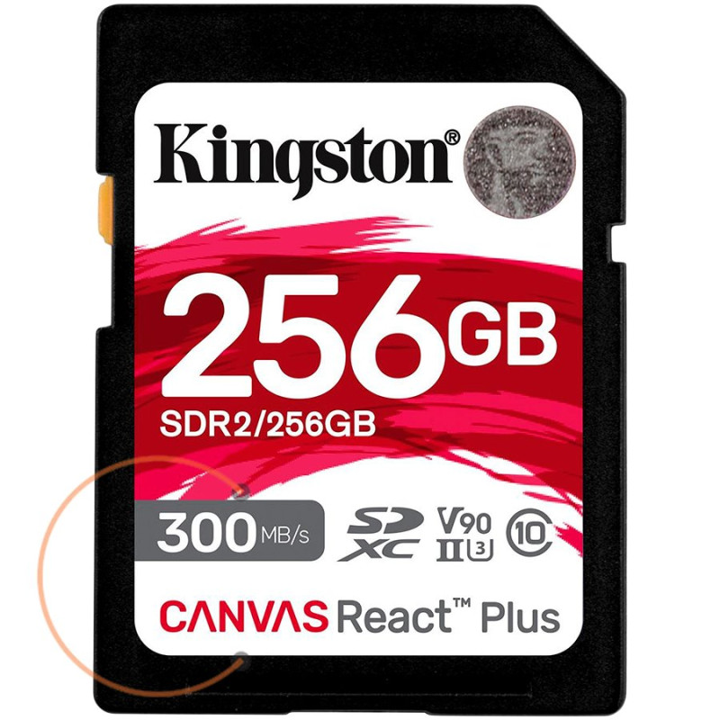 KINGSTON Memory Flash SDR2/256GB