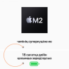 Apple 13