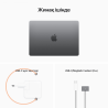 Apple 13