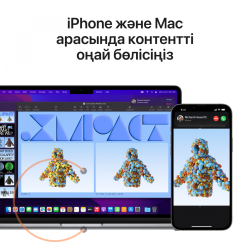Apple 13