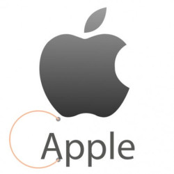Apple 13