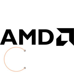 AMD Graphics Processing Unit 100-506115