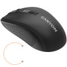 CANYON MW-7