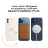 iPhone 12 mini Leather Case with MagSafe